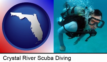 a scuba diver in Crystal River, FL